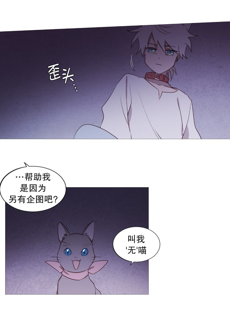 动物管理局的简介漫画,83.无11图