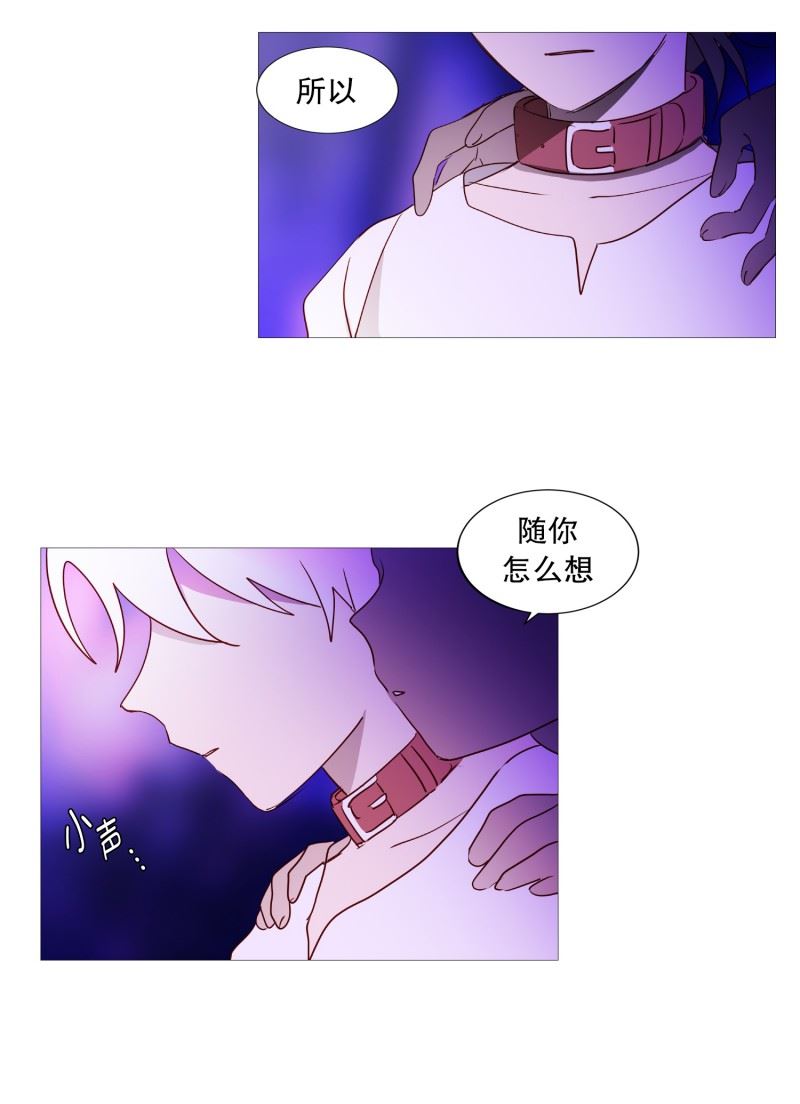 动物管理局的简介漫画,83.无7图