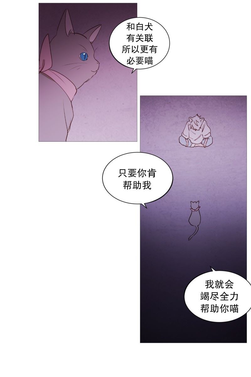 动物灵魂管理局漫画,84.借用力量2图