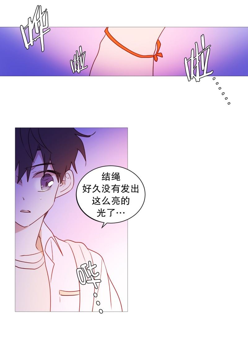 动物管理局的简介漫画,90.猫兔大战4图