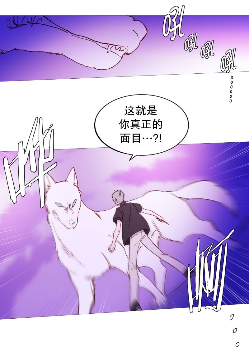 动物灵魂管理局漫画,103.真面目18图