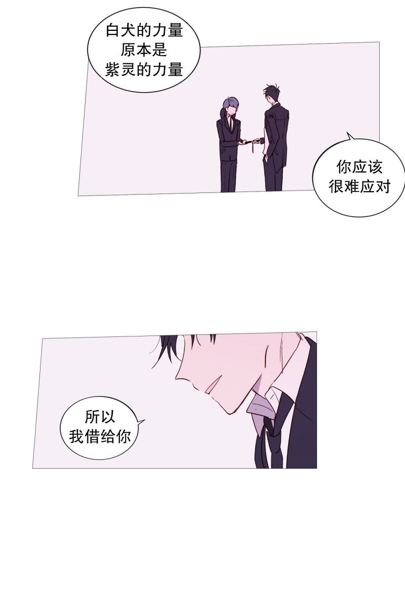 动物灵魂管理局漫画,104.短剑5图