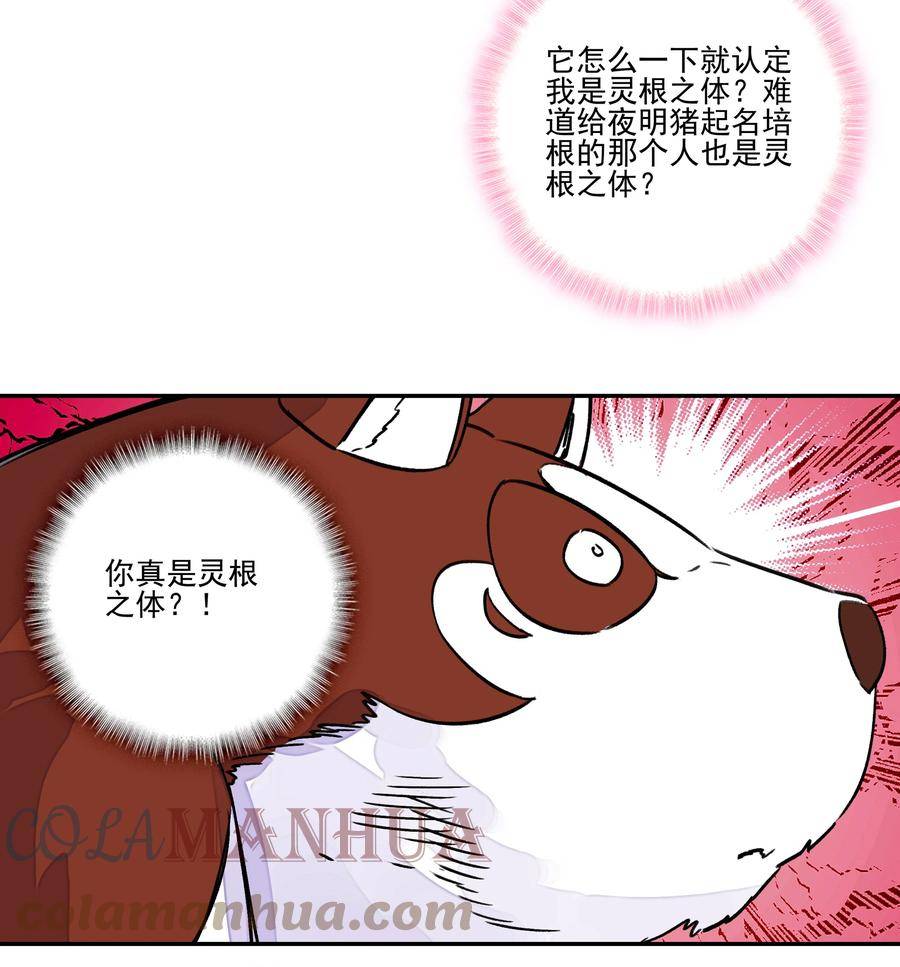 爷就是开挂少女305话漫画,224 第219话 本王不同意这门亲事25图