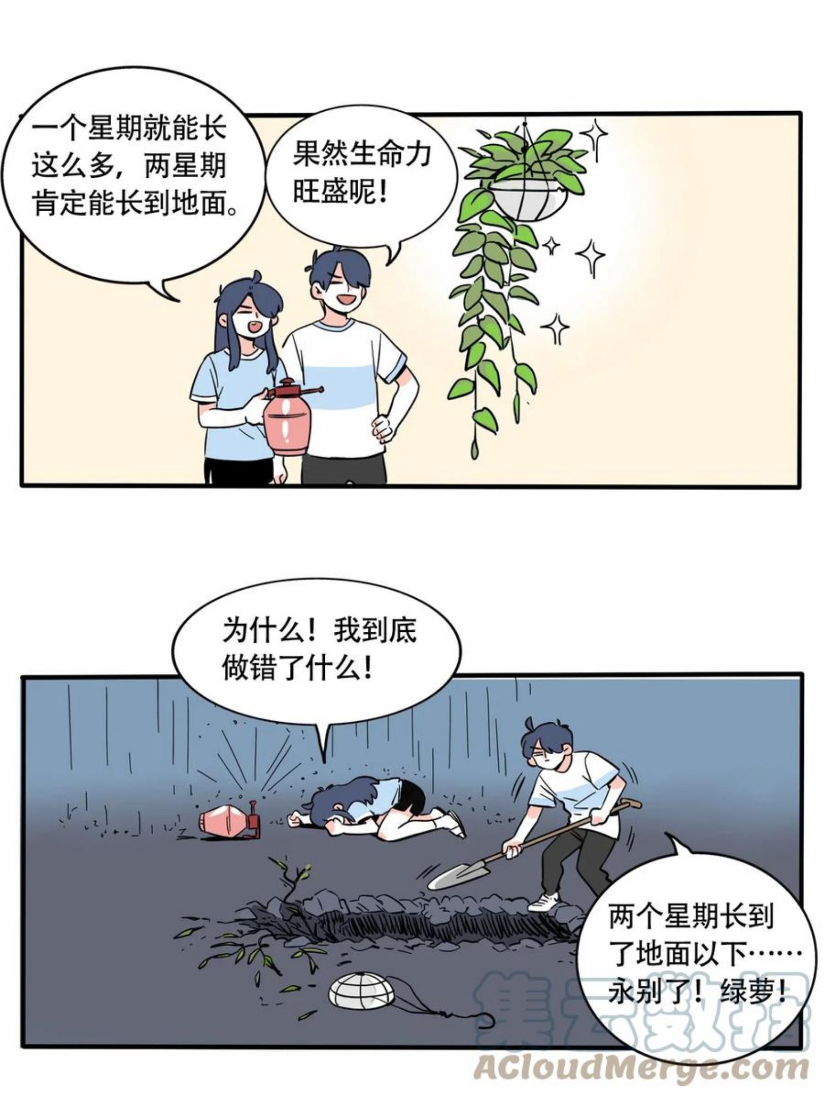 快把我哥带走全集打包下载漫画,308 3084图