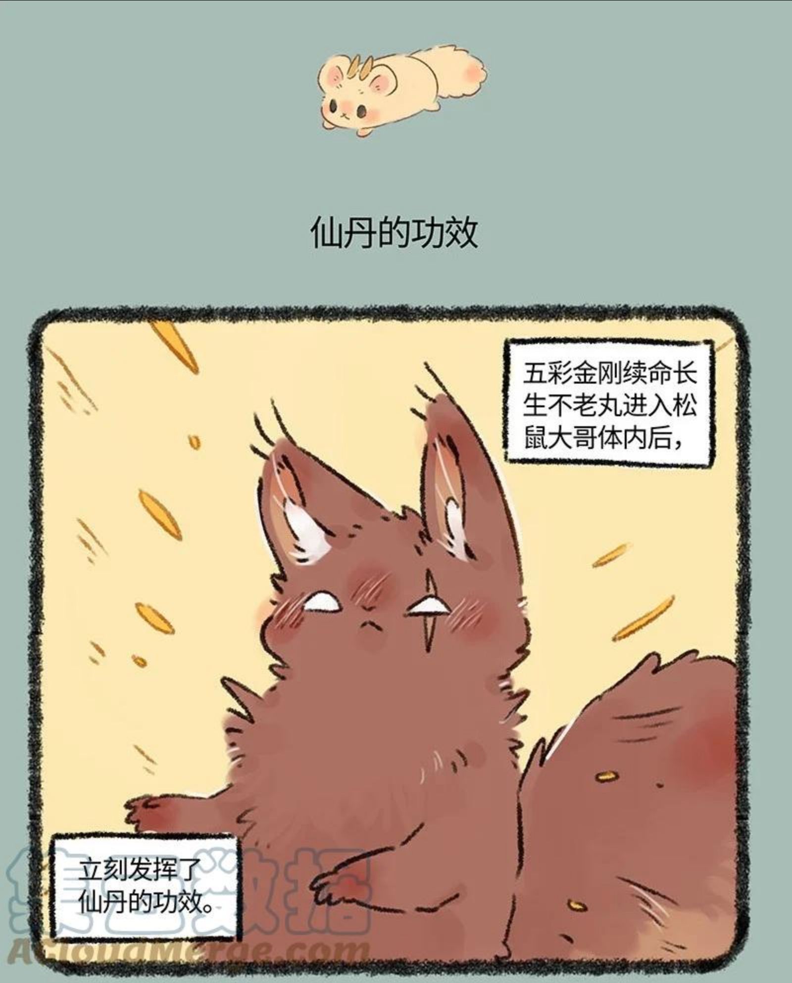 有兽焉漫画,576 归来吧！金角银角4图