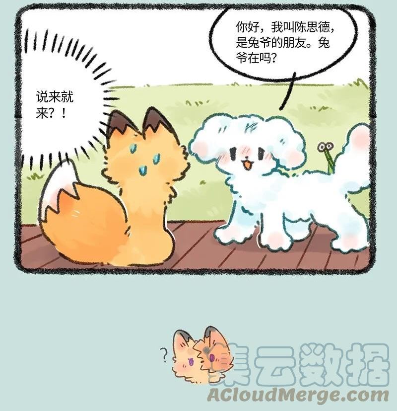 有兽焉漫画书漫画,663 兔爷的贵狗4图