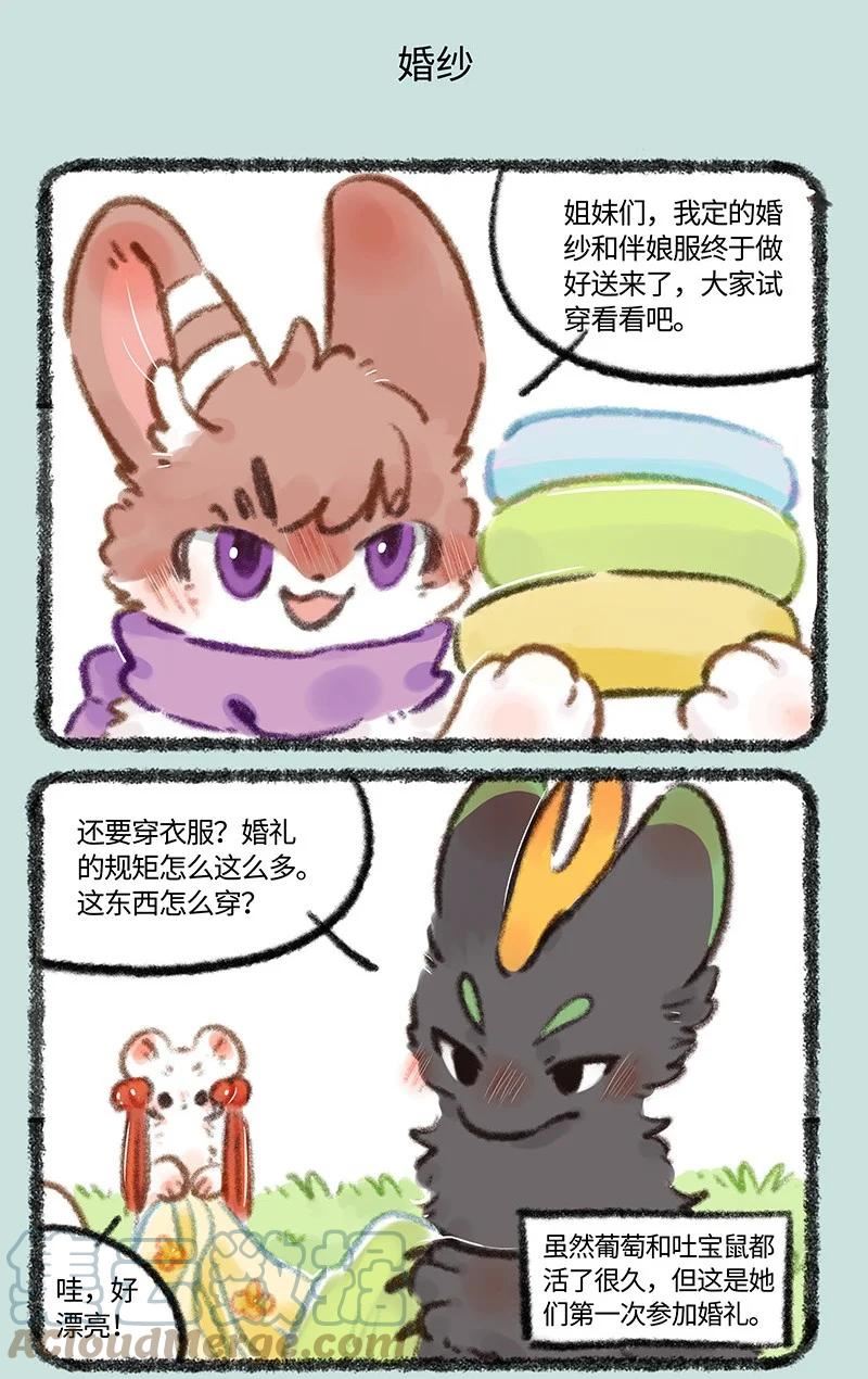 有兽焉漫画,704 婚礼前的准备5图