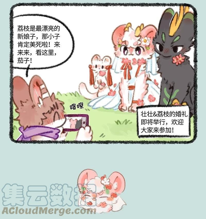 有兽焉漫画,704 婚礼前的准备7图