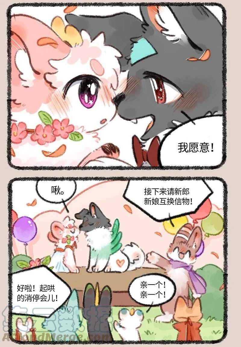 有兽焉漫画,706 盛大的婚礼5图