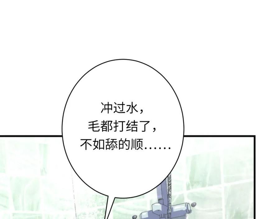 成为克苏鲁神主漫画解说漫画,第201话 两个熊孩子19图