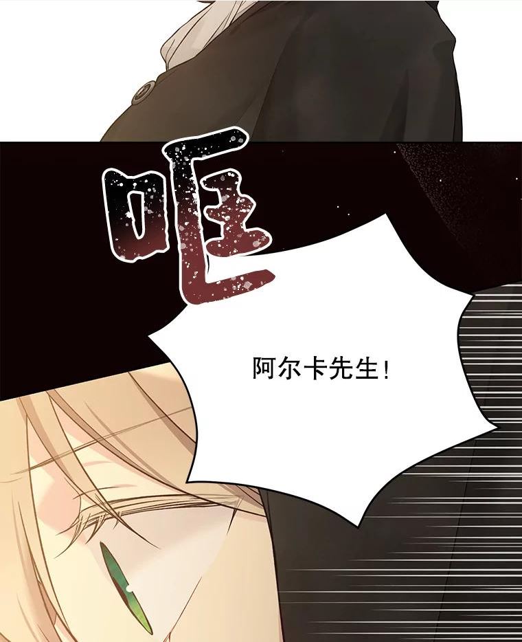 绿荫之冠英文名漫画,56.见到卢米120图