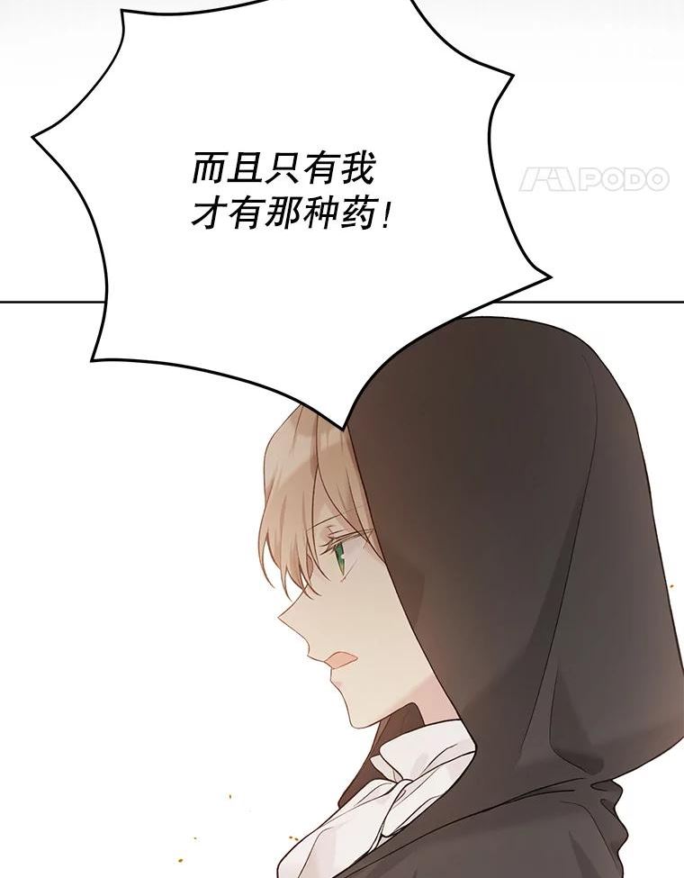 绿荫之冠英文名漫画,56.见到卢米48图