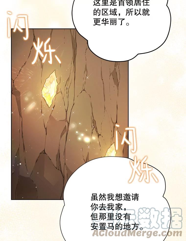 绿荫之冠免费下拉式漫画,70.前往矮人王国101图