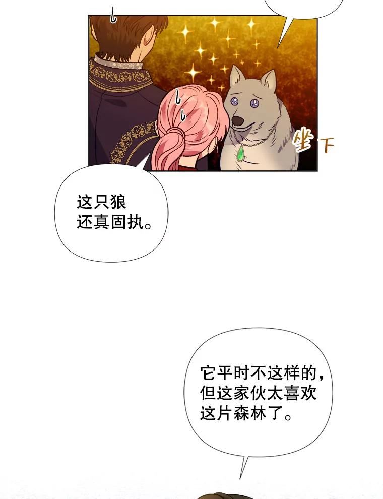 伊丽莎白漫画,40.前往禁忌之森36图