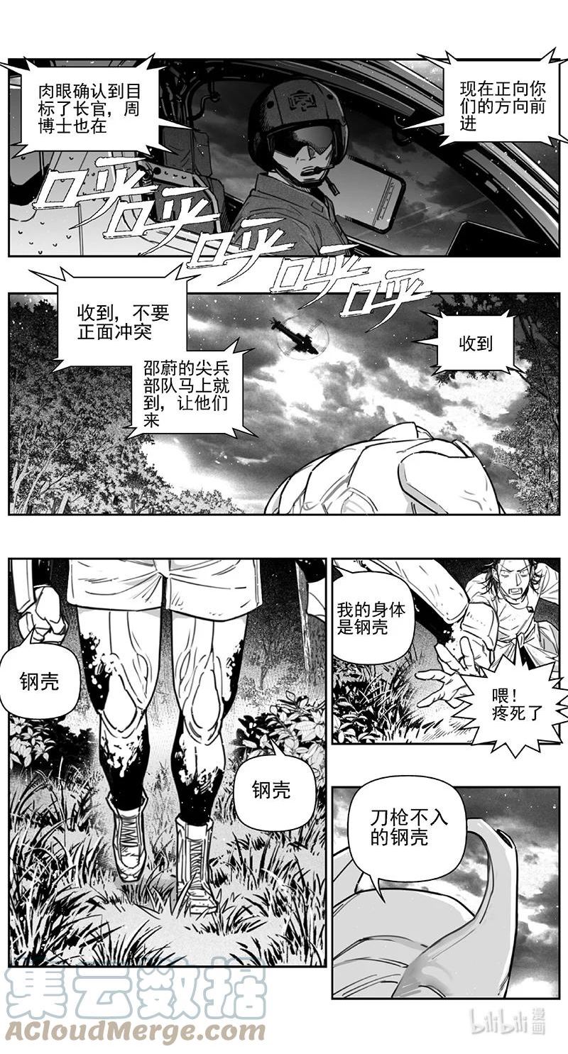 雏蜂漫画,425第四部 刚对柔（263图