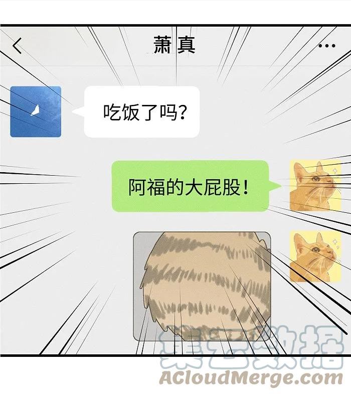 盐友漫画全集免费36话漫画,51 阿福的大屁股15图