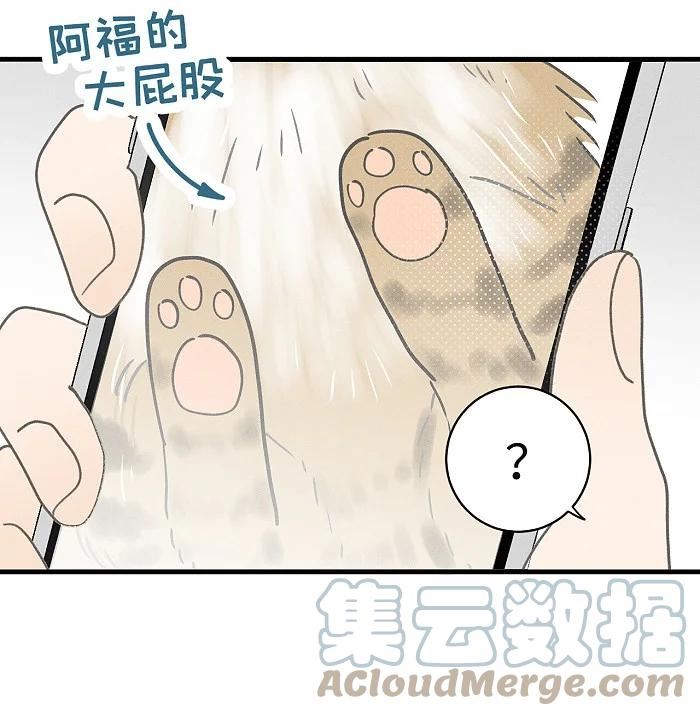 盐友漫画全集免费36话漫画,51 阿福的大屁股31图