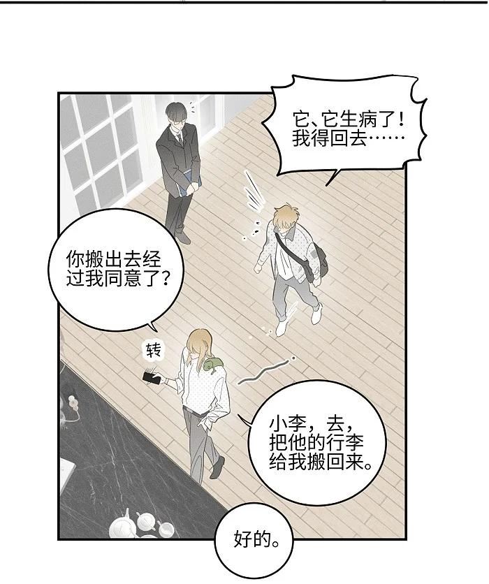 盐友漫画,56 谁是萧真？10图