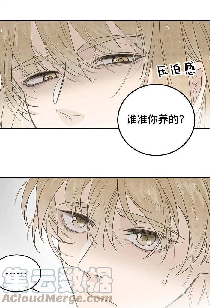 盐友漫画,56 谁是萧真？9图