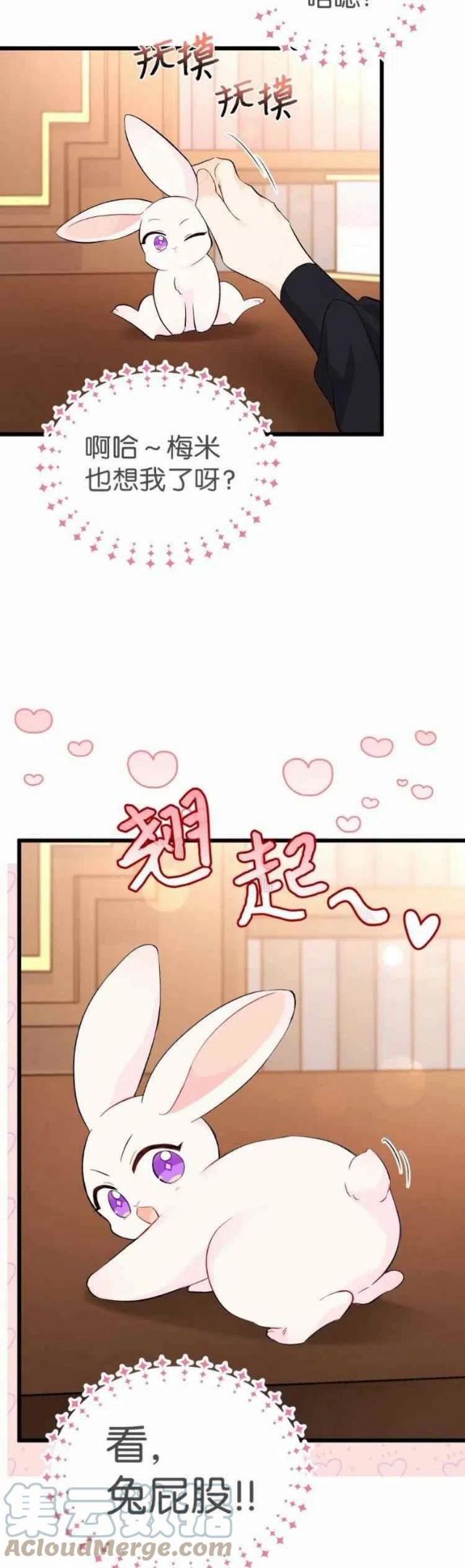 兔子和黑豹的共生关系漫画,第47话27图