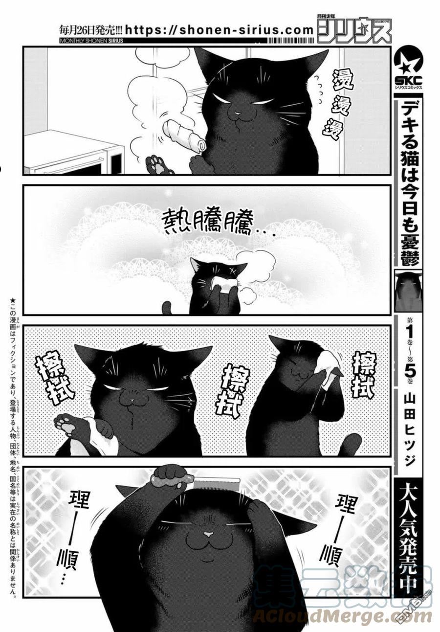 能干的猫今天也忧郁动漫在线观看漫画,第74话3图