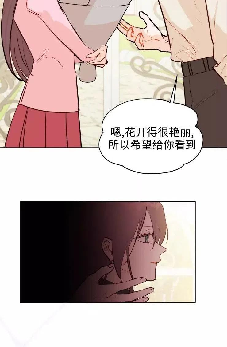 扑通扑通攻略记漫画免费阅读漫画,第81话11图