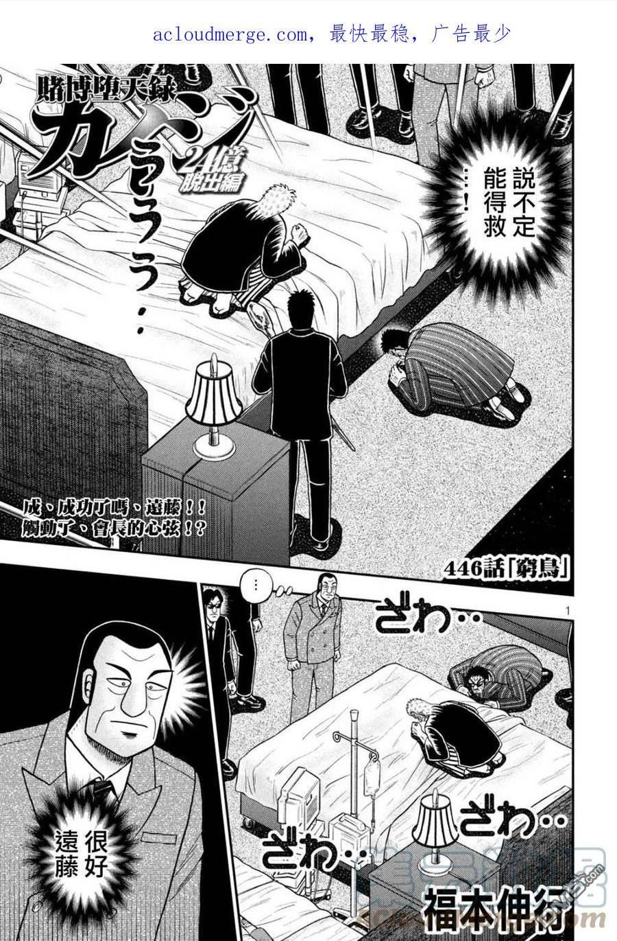 赌博堕天录漫画漫画,第446话 穷鸟1图