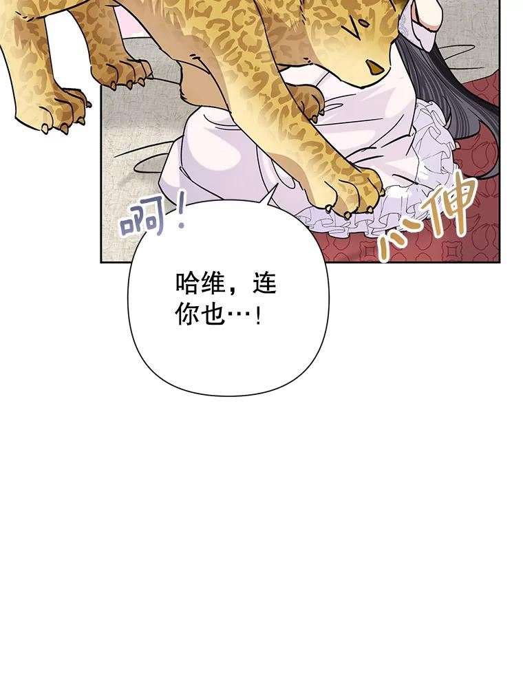 恶女今天也很快乐漫画,43.作战计划15图