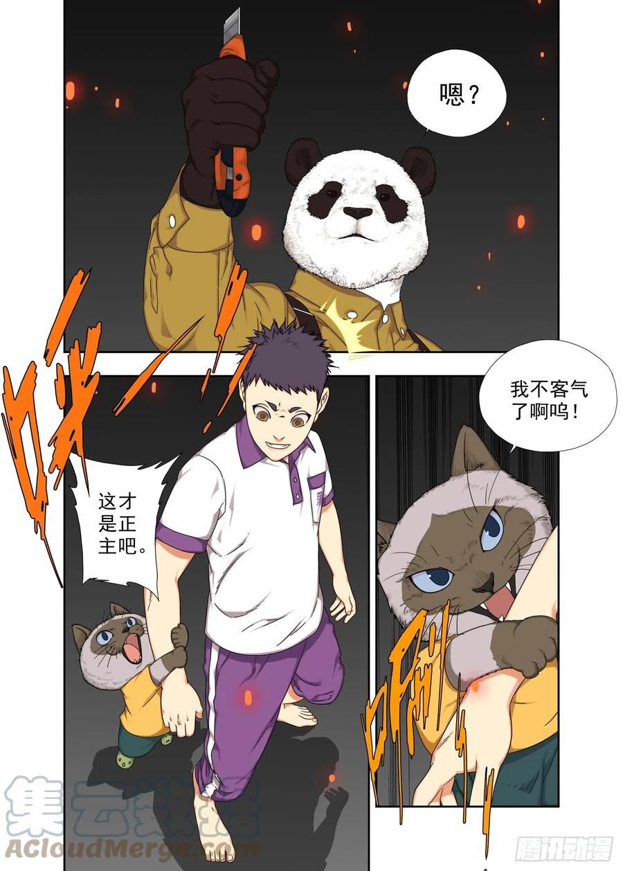 重瞳子漫画,阿猫阿狗13图