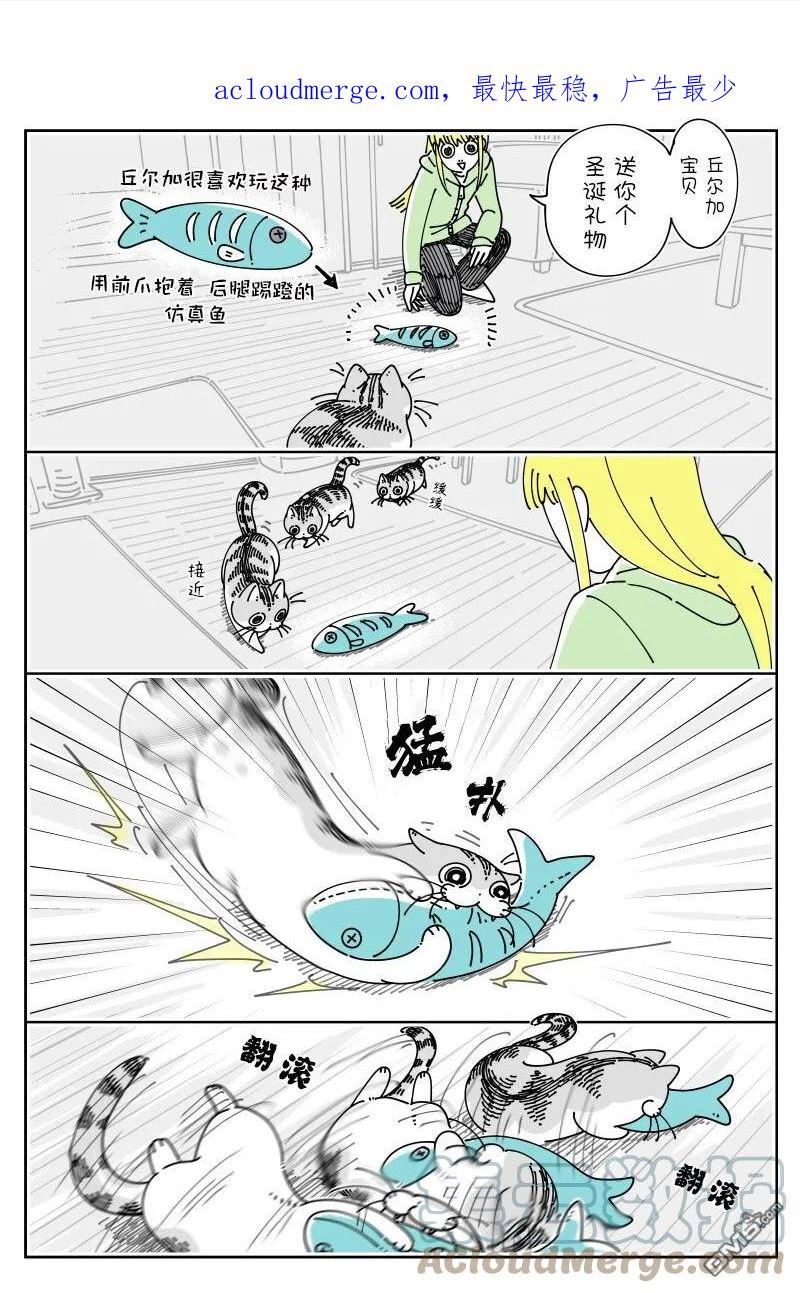 关于养猫我一直是新手 图片漫画,第146话1图