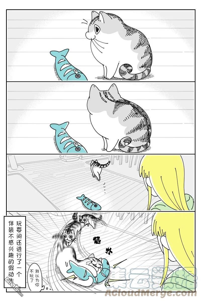 关于养猫我一直是新手 图片漫画,第146话3图