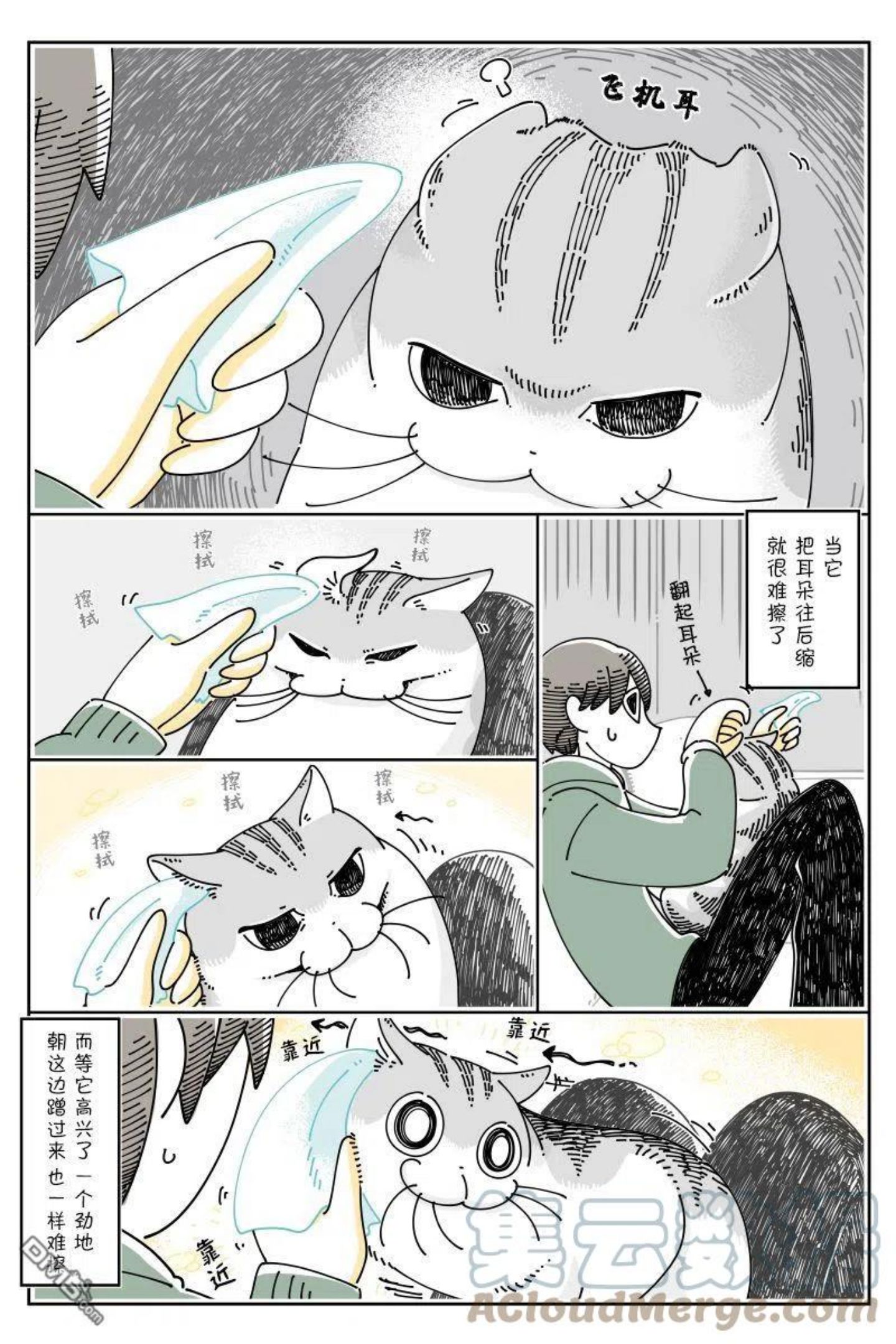 关于养猫我一直是新手漫画,第102话2图