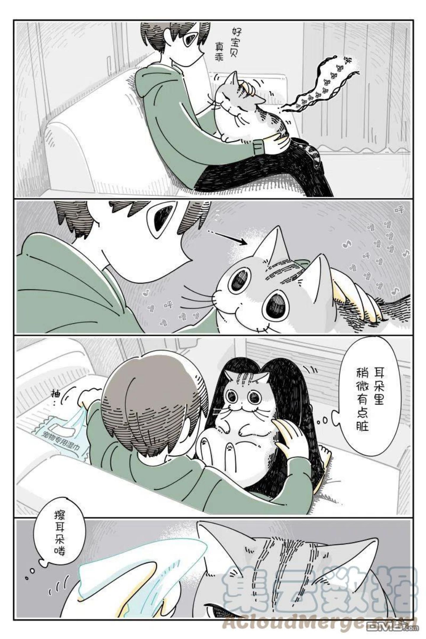 关于养猫我一直是新手漫画,第102话1图