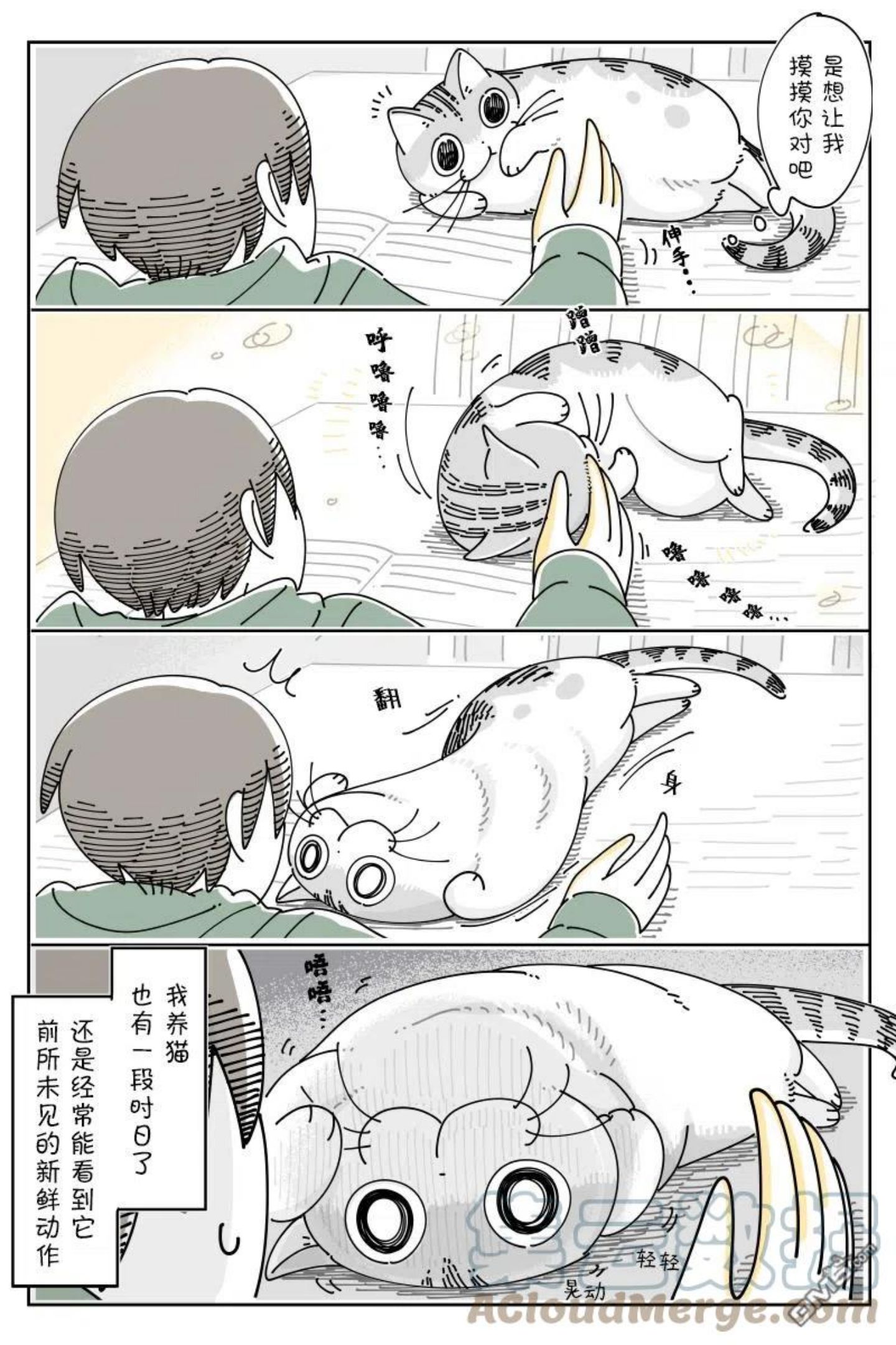 关于养猫我一直是新手 图片漫画,第103话2图