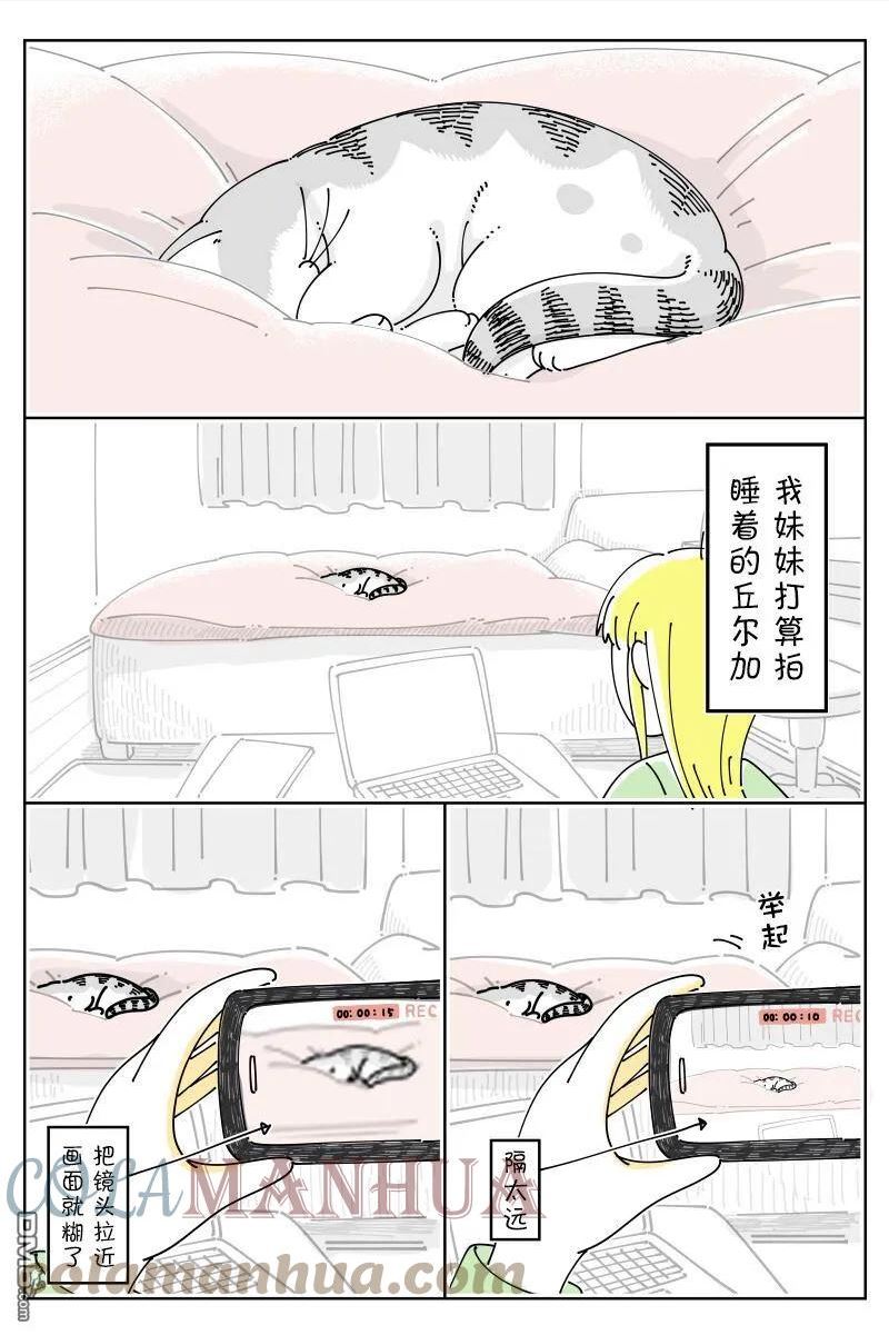 关于养猫我一直是新手第二季在线观看漫画,第152话1图