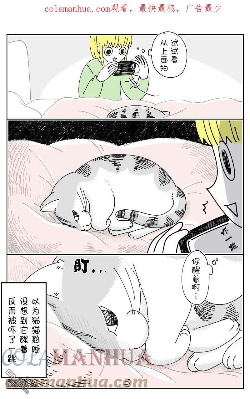 关于养猫我一直是新手第二季在线观看漫画,第152话3图