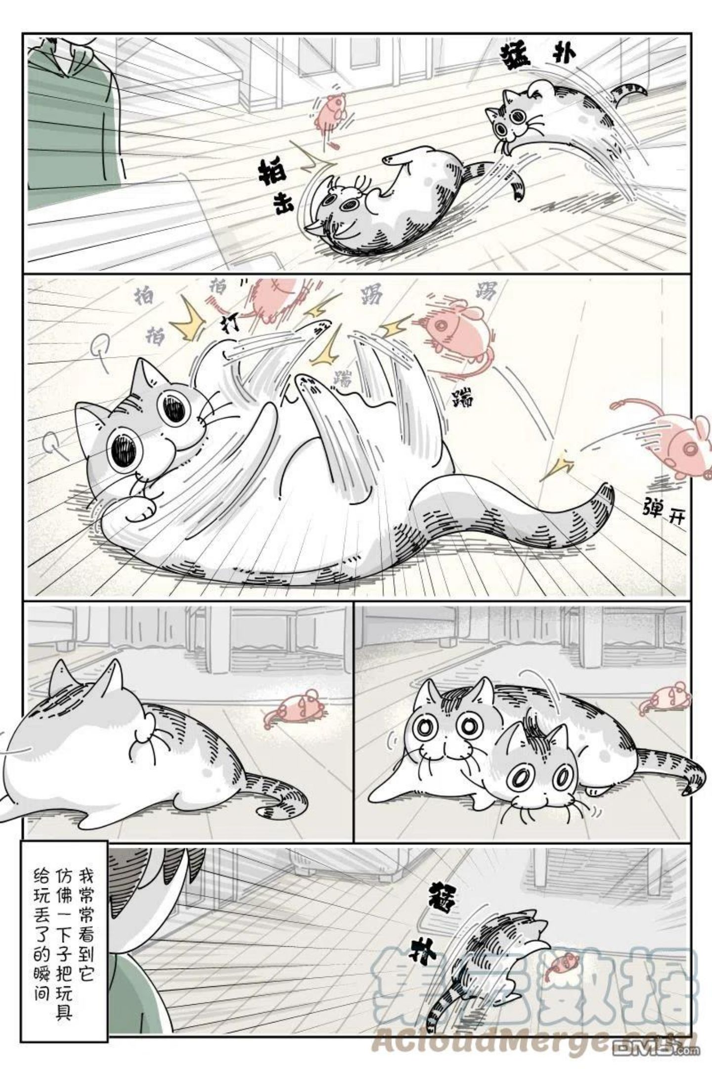 关于养猫我一直是新手漫画,第108话2图