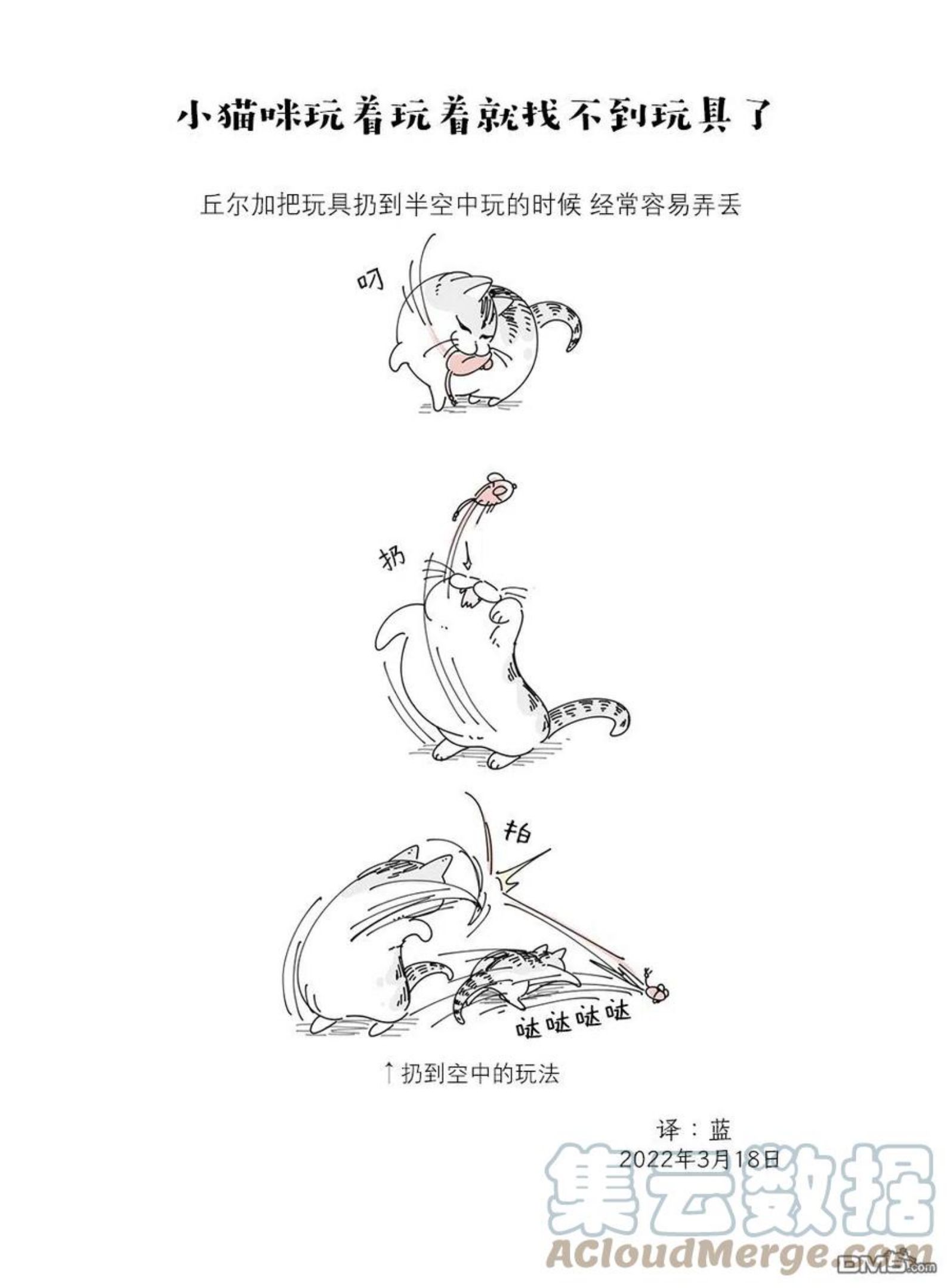 关于养猫我一直是新手漫画,第108话3图