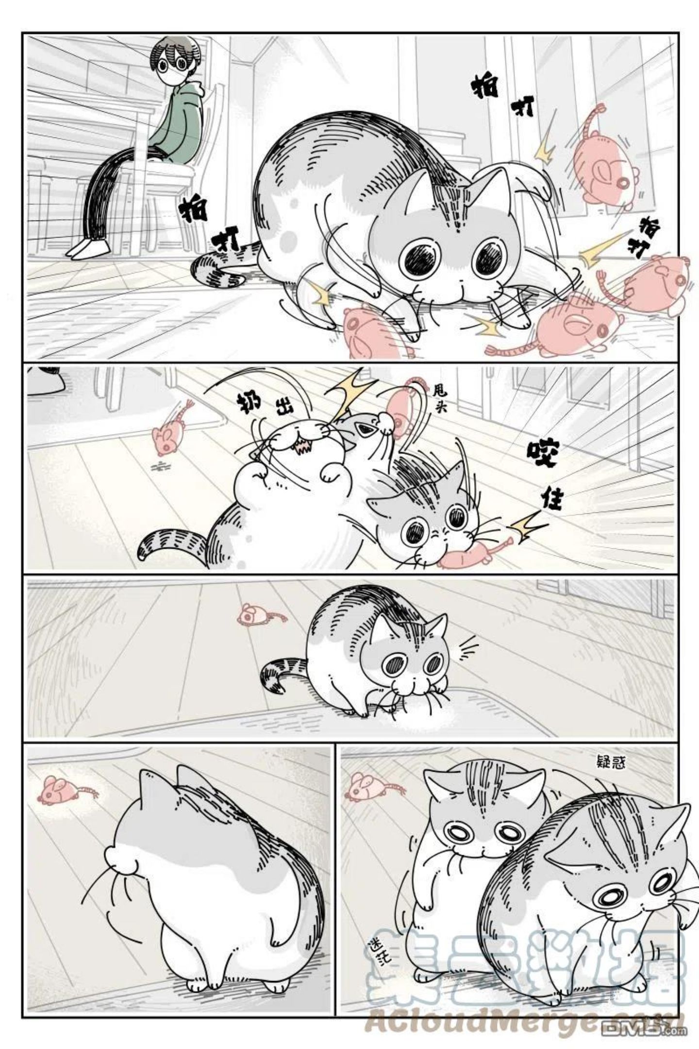 关于养猫我一直是新手漫画,第108话1图