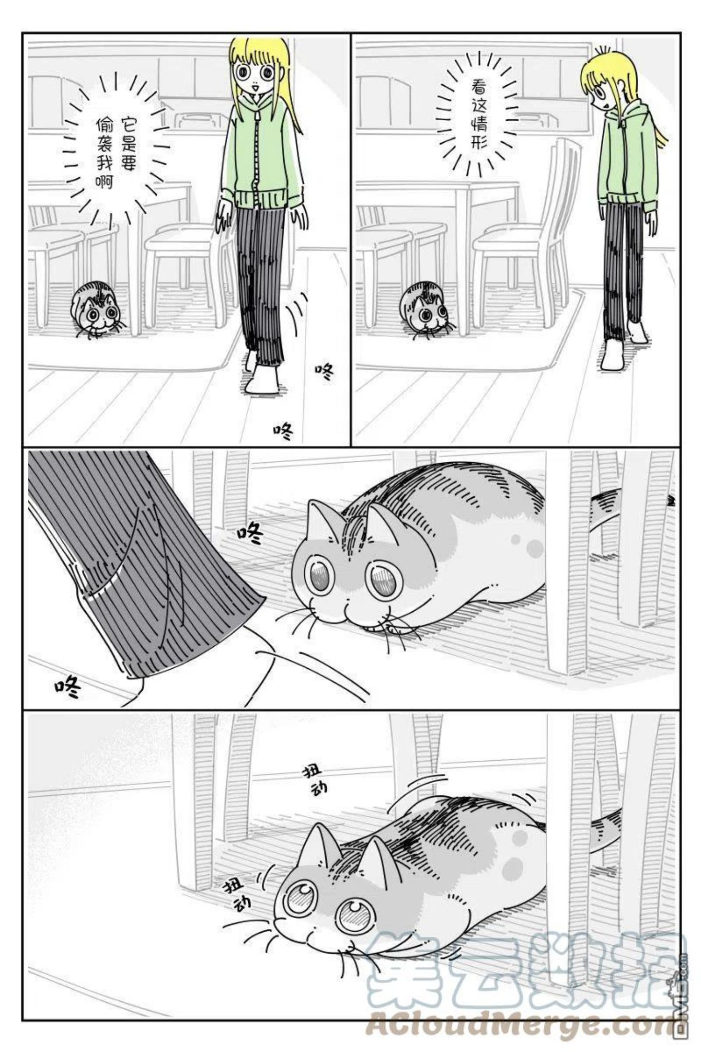 关于养猫我一直是新手 图片漫画,第109话2图