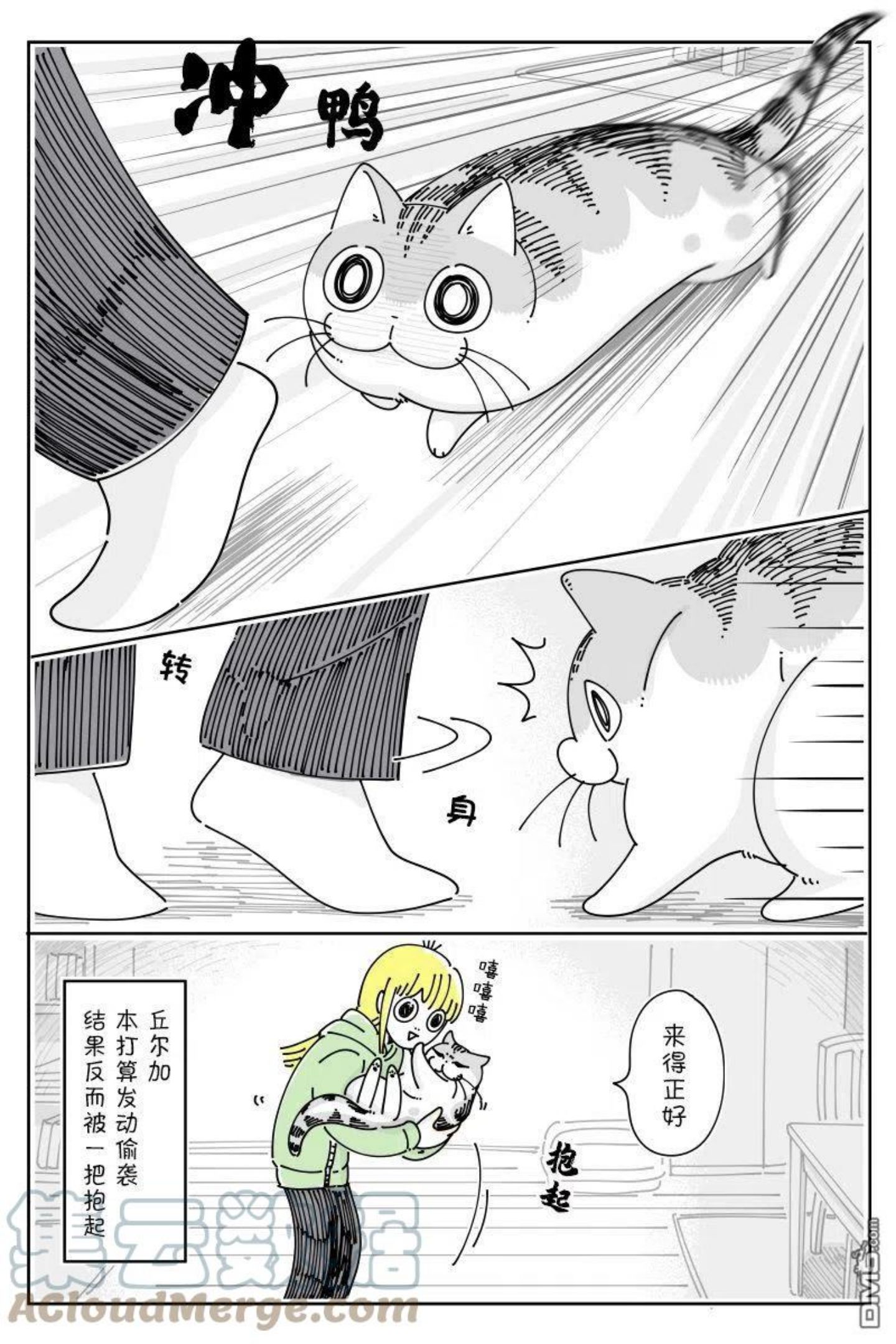 关于养猫我一直是新手 图片漫画,第109话3图