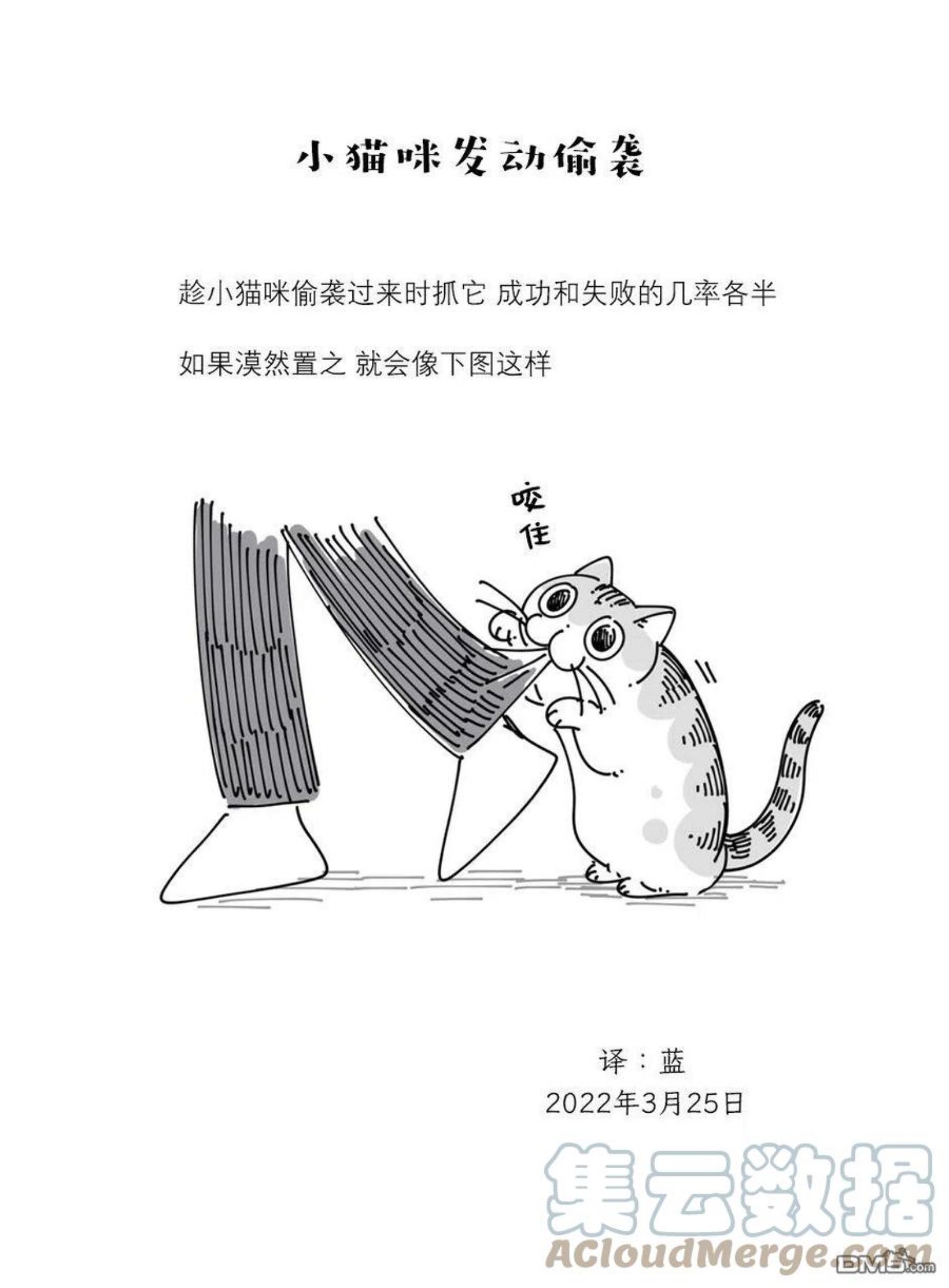 关于养猫我一直是新手 图片漫画,第109话4图