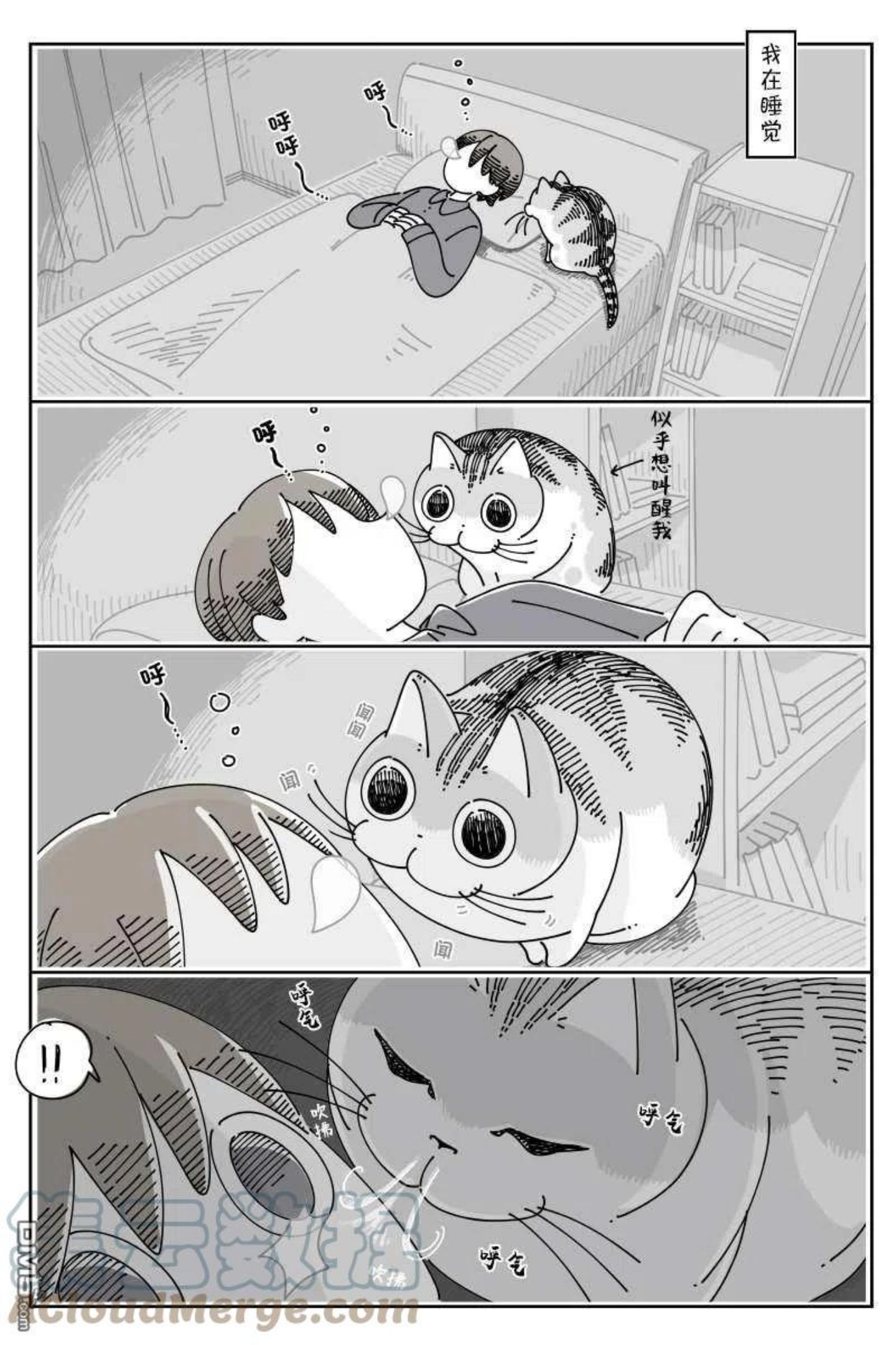 关于养猫我一直是新手漫画,第110话1图