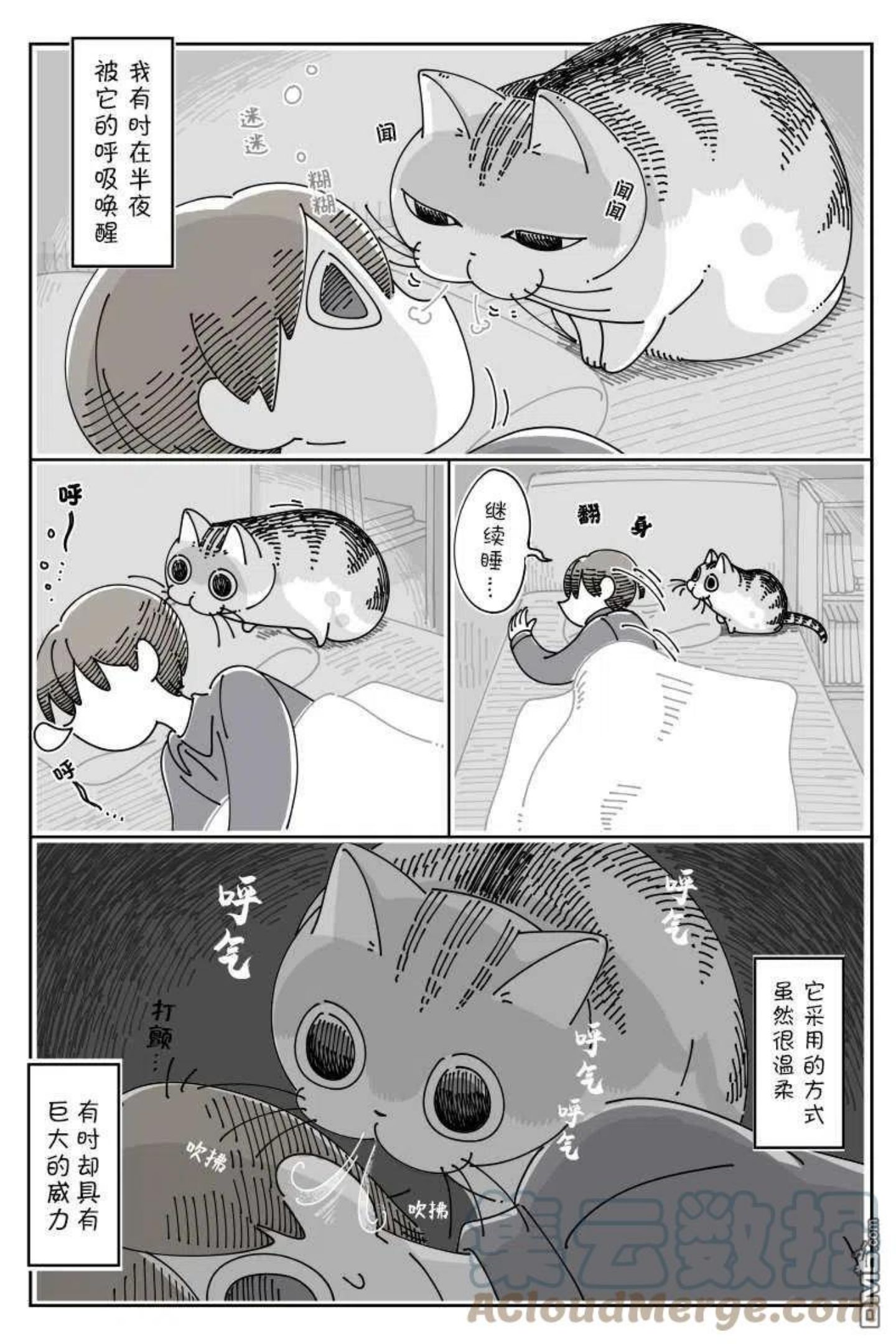 关于养猫我一直是新手漫画,第110话2图