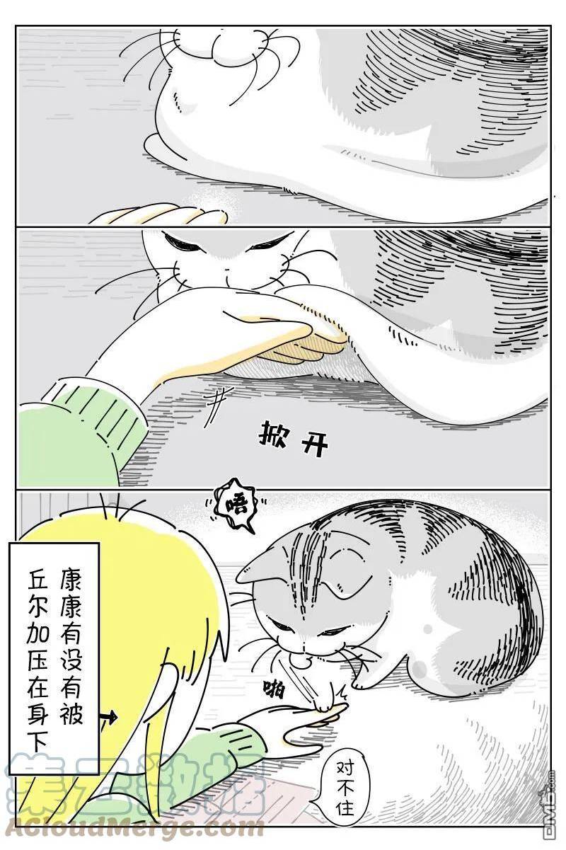 关于养猫我一直是新手第二季在线观看漫画,第154话2图