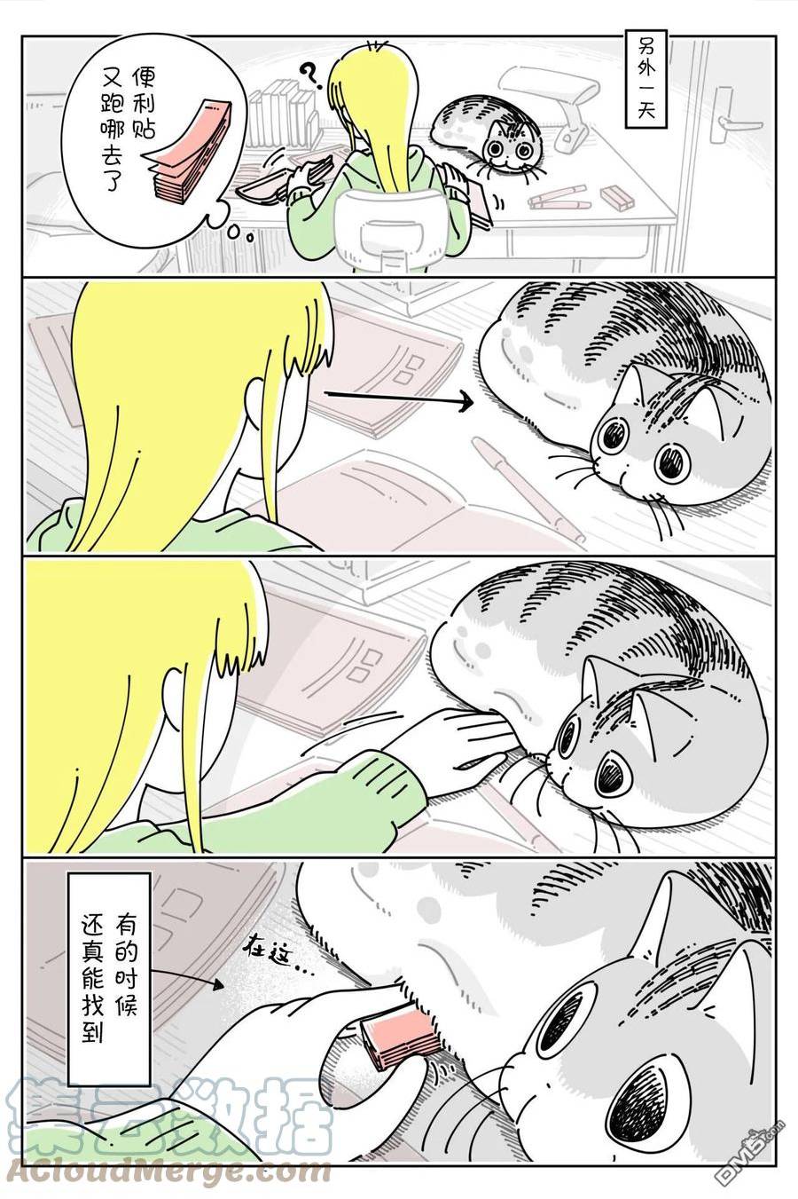 关于养猫我一直是新手第二季在线观看漫画,第154话3图