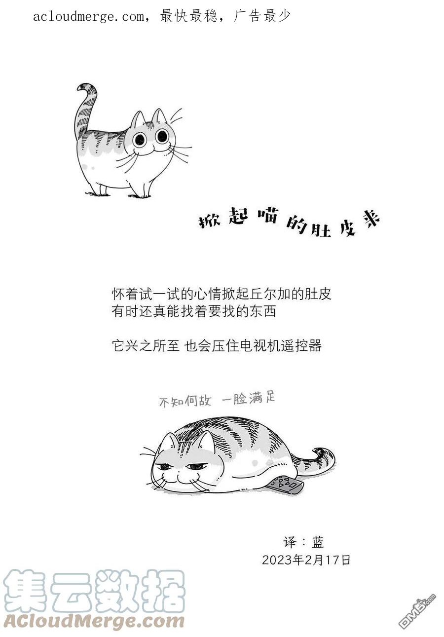 关于养猫我一直是新手第二季在线观看漫画,第154话4图