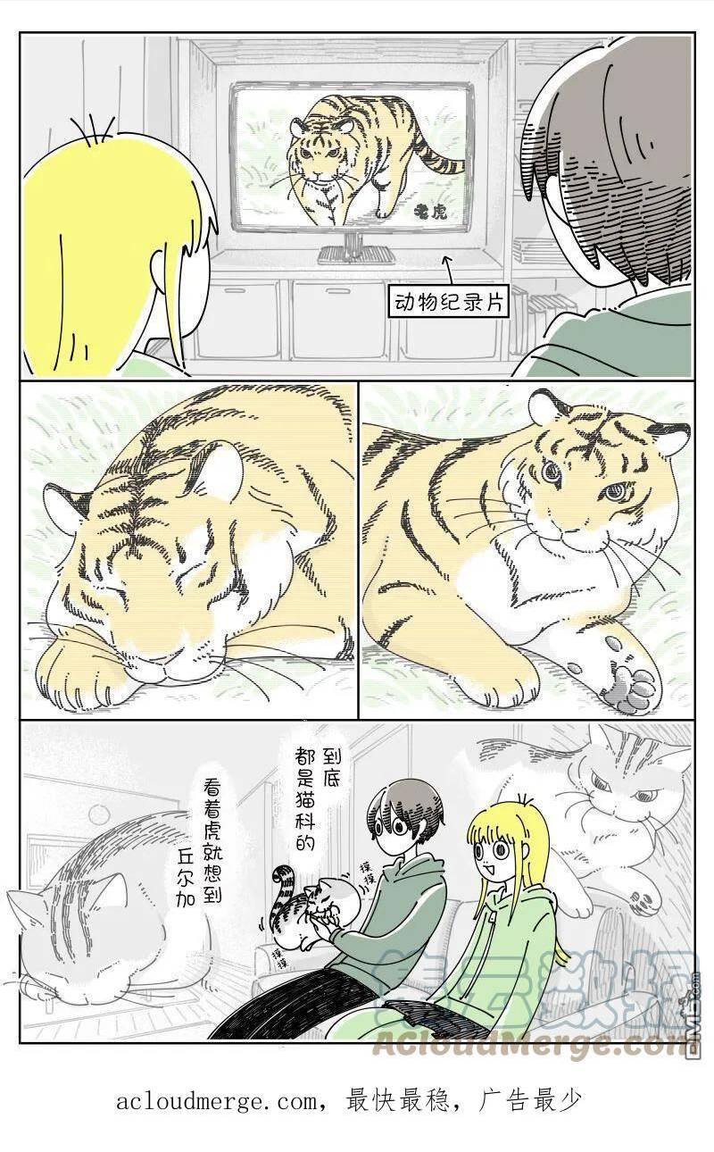 关于养猫我一直是新手 图片漫画,第156话1图