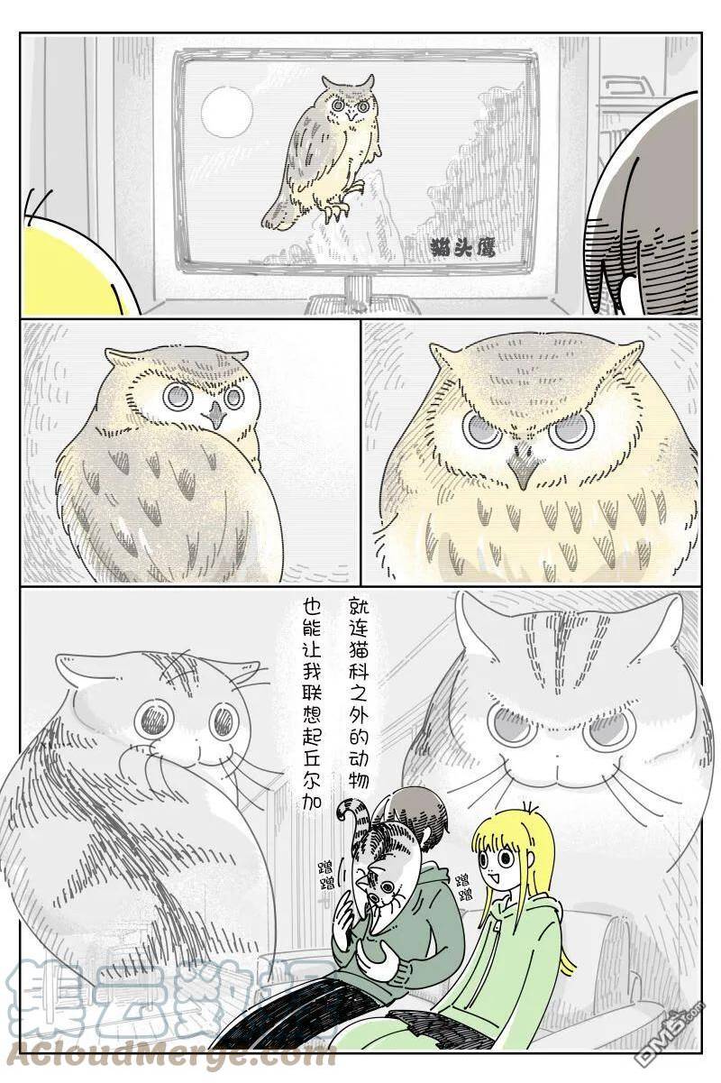 关于养猫我一直是新手 图片漫画,第156话3图