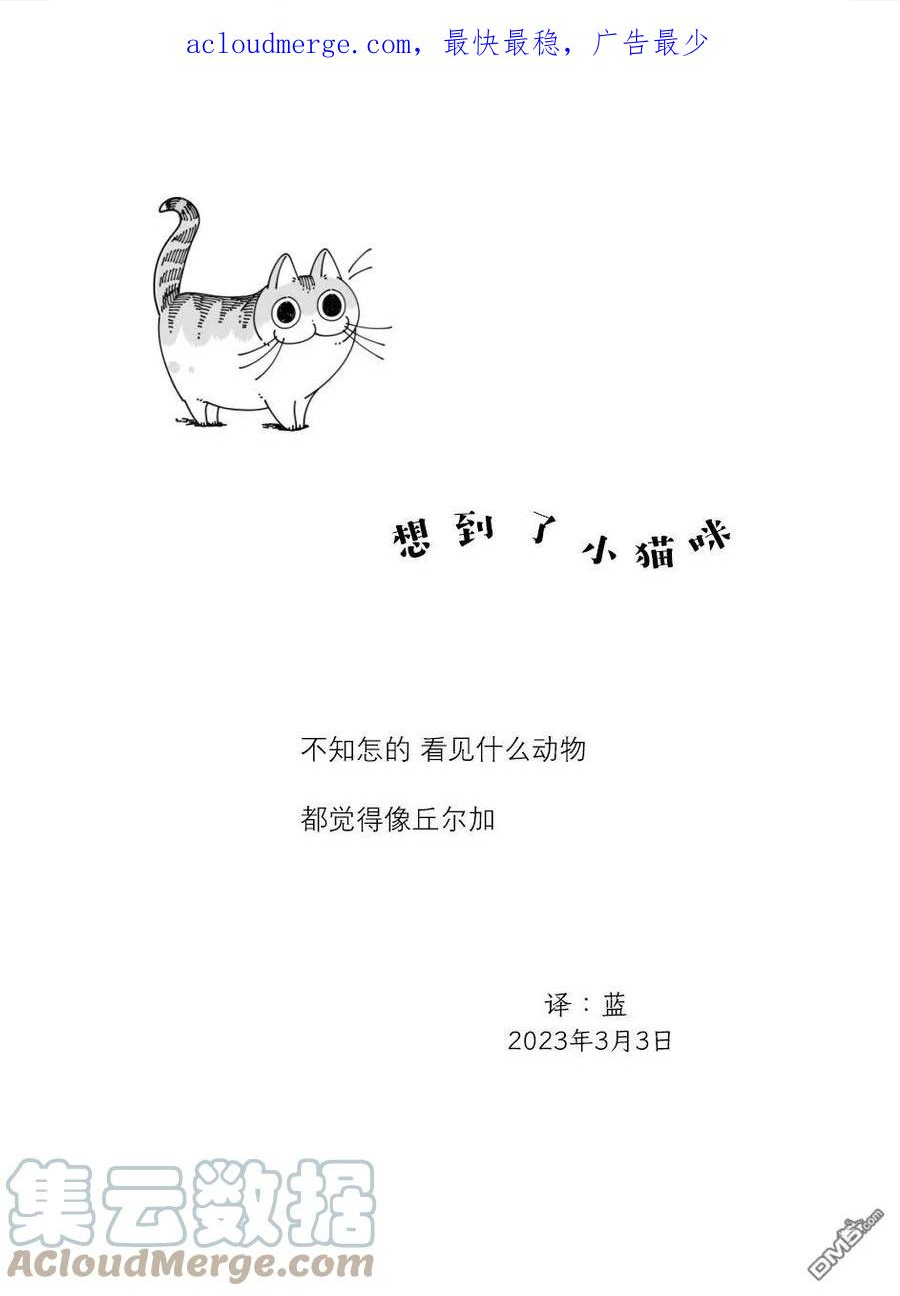 关于养猫我一直是新手 图片漫画,第156话4图